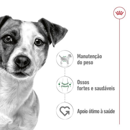 Royal Canin Mini Puppy, Cão, Húmidos, Cachorro, Alimento