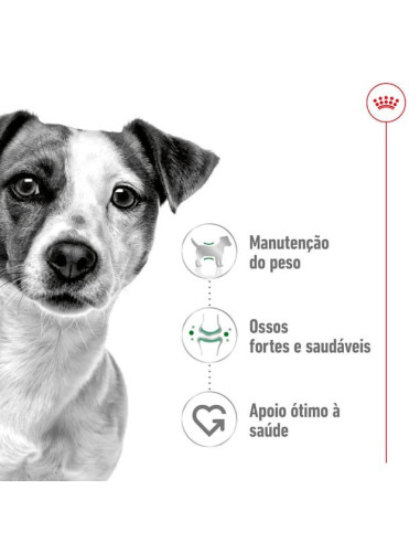 Royal Canin Mini Ageing 12+, Cão, Húmidos, Sénior, Alimento