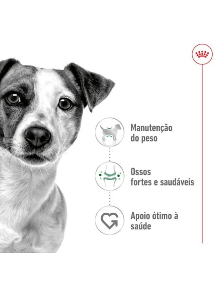 Royal Canin Mini Ageing 12+, Cão, Húmidos, Sénior, Alimento