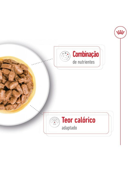 Royal Canin Mini Ageing 12+, Cão, Húmidos, Sénior, Alimento