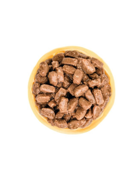 Royal Canin Mini Ageing 12+, Cão, Húmidos, Sénior, Alimento