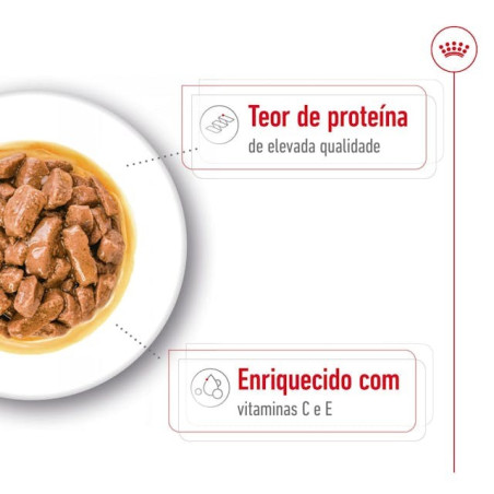 Royal Canin Maxi Adult, Cão, Húmidos, Adulto, Alimento