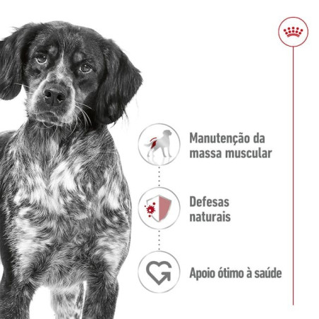 Royal Canin Maxi Adult, Cão, Húmidos, Adulto, Alimento