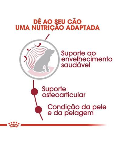 Royal Canin Medium Ageing 10+, Cão, Húmidos, Adulto, Alimento