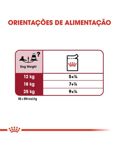 Royal Canin Medium Ageing 10+, Cão, Húmidos, Adulto, Alimento