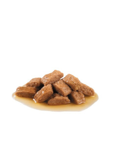 Royal Canin Medium Ageing 10+, Cão, Húmidos, Adulto, Alimento 2