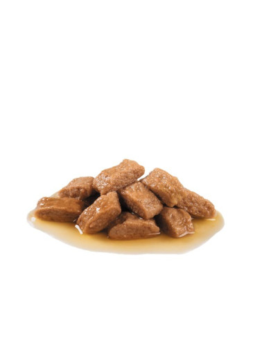 Royal Canin Medium Ageing 10+, Cão, Húmidos, Adulto, Alimento