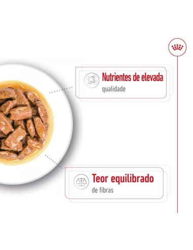Royal Canin Maxi Adult, Cão, Húmidos, Adulto, Alimento