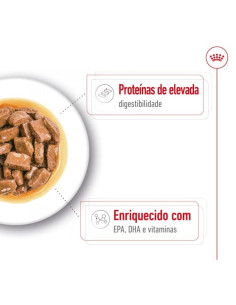 Royal Canin Maxi Ageing 8+, Cão, Húmidos, Sénior, Alimento 2