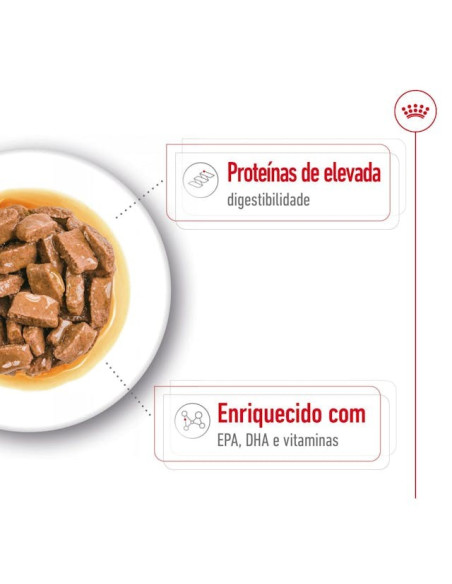Royal Canin Maxi Ageing 8+, Cão, Húmidos, Sénior, Alimento
