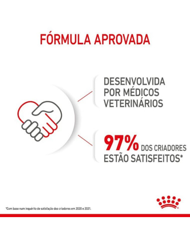 Royal Canin Mini Puppy, Cão, Húmidos, Cachorro, Alimento