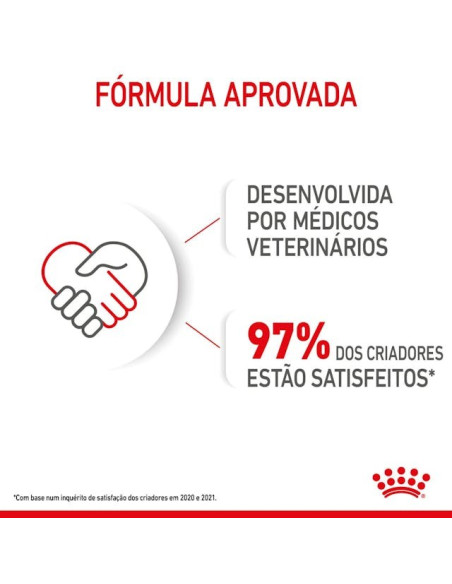 Royal Canin Mini Puppy, Cão, Húmidos, Cachorro, Alimento