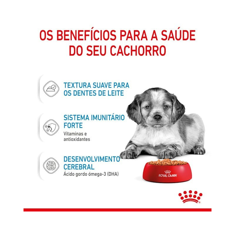 Royal Canin Medium Puppy, Cão, Húmidos, Adulto, Alimento
