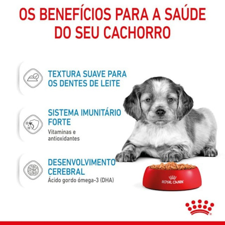 Royal Canin Medium Puppy, Cão, Húmidos, Adulto, Alimento