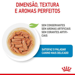 Royal Canin Medium Puppy, Cão, Húmidos, Adulto, Alimento 2
