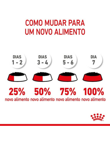 Royal Canin Maxi Puppy, Cão, Húmidos, Cachorro, Alimento