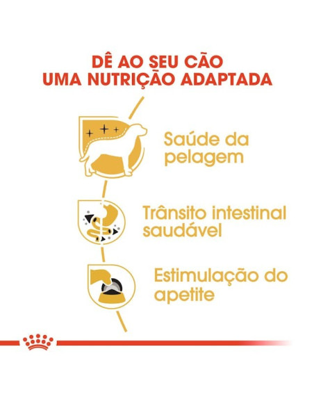 Royal Canin Chihuahua Adult Húmidos Saqueta 12x85g