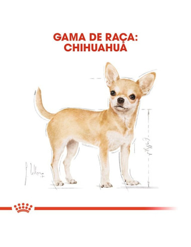 Royal Canin Chihuahua Adult Húmidos Saqueta 12x85g