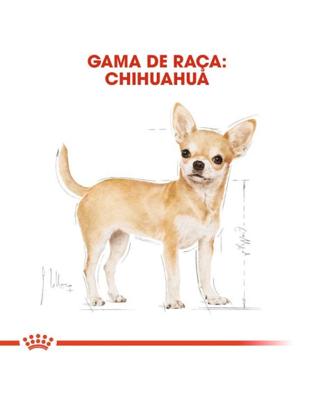 Royal Canin Chihuahua Adult Húmidos Saqueta 12x85g