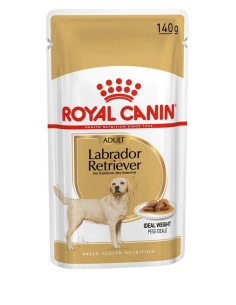 Royal Canin Labrador Retriever Adult, Cão, Húmidos,  Adulto, Alimento/Ração