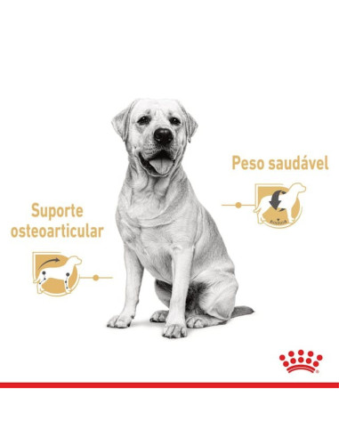 Royal Canin Labrador Retriever Adult, Cão, Húmidos,  Adulto, Alimento/Ração