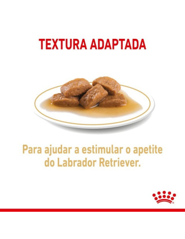 Royal Canin Labrador Retriever Adult, Cão, Húmidos,  Adulto, Alimento/Ração