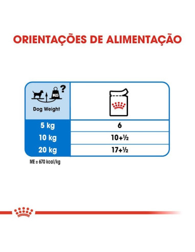 Royal Canin Mini Puppy, Cão, Húmidos, Cachorro, Alimento