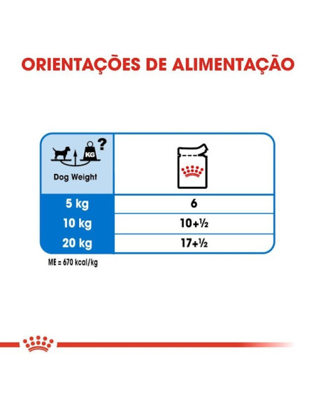 Royal Canin Mini Puppy, Cão, Húmidos, Cachorro, Alimento