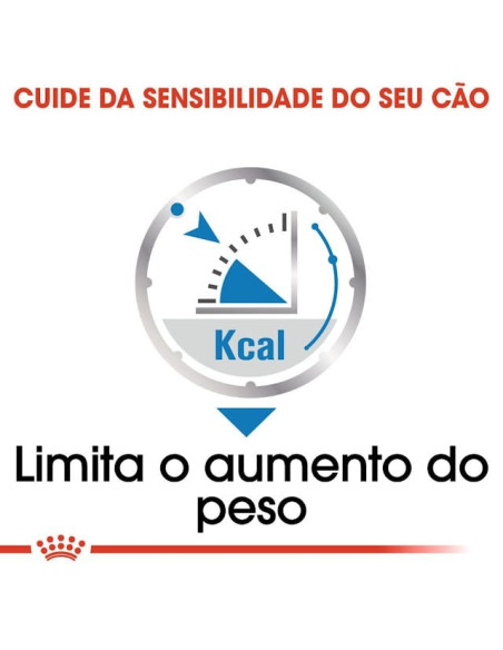Royal Canin Mini Puppy, Cão, Húmidos, Cachorro, Alimento
