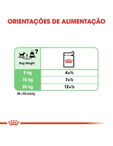 Royal Canin Mini Puppy, Cão, Húmidos, Cachorro, Alimento