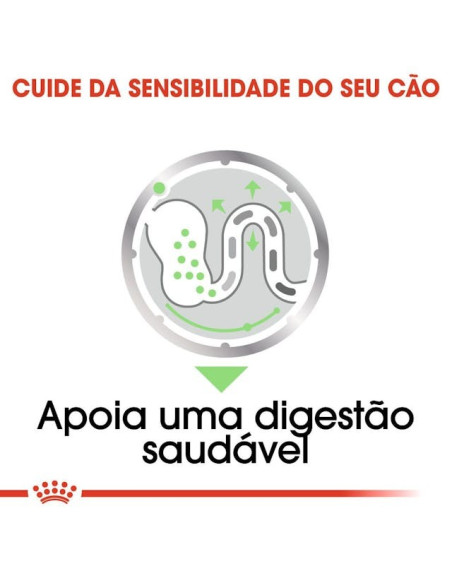 Royal Canin Mini Puppy, Cão, Húmidos, Cachorro, Alimento