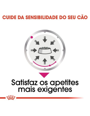 Royal Canin Mini Puppy, Cão, Húmidos, Cachorro, Alimento