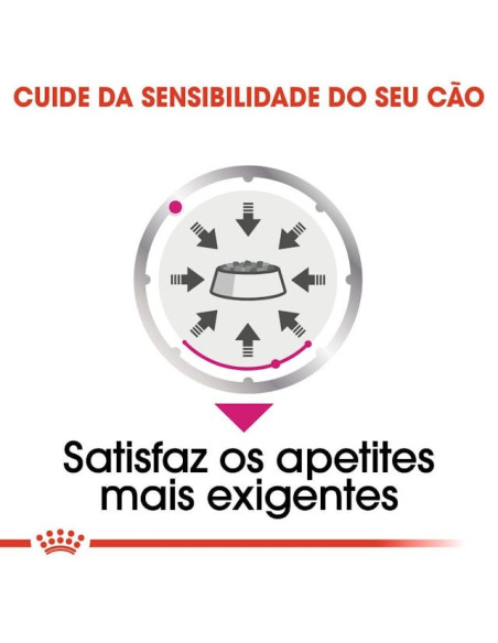 Royal Canin Mini Puppy, Cão, Húmidos, Cachorro, Alimento