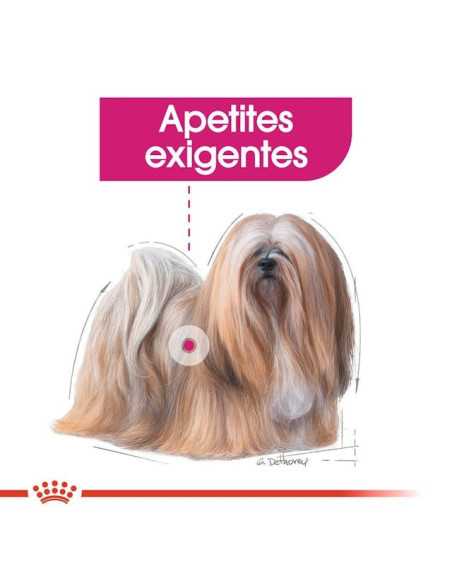 Royal Canin Mini Puppy, Cão, Húmidos, Cachorro, Alimento