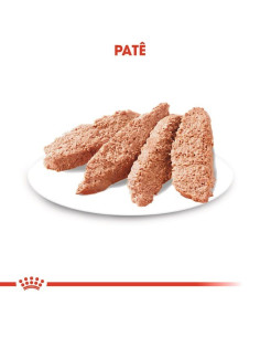 Royal Canin Mini Puppy, Cão, Húmidos, Cachorro, Alimento 2