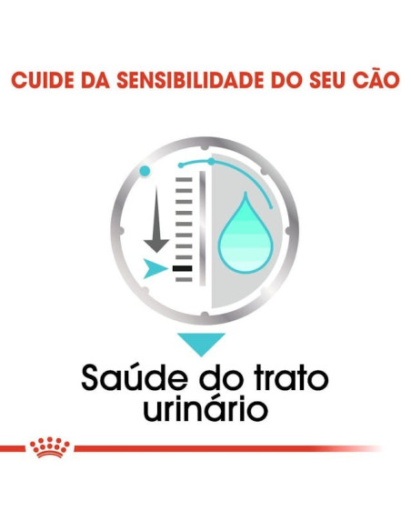 Royal Canin Mini Puppy, Cão, Húmidos, Cachorro, Alimento