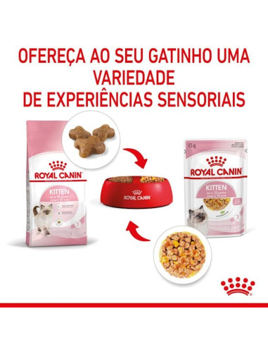 Royal Canin Kitten (Jelly), Gatinhos, Húmidos Alimento