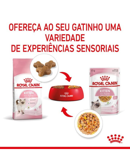 Royal Canin Kitten (Jelly), Gatinhos, Húmidos Alimento