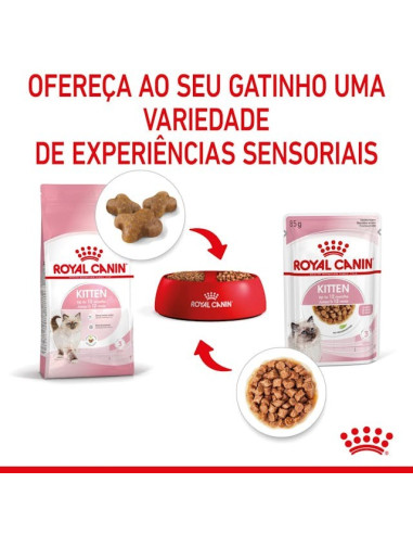 Royal Canin Kitten (Gravy), Gatinhos, Húmidos Alimento