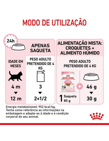 Royal Canin Kitten (Gravy), Gatinhos, Húmidos Alimento