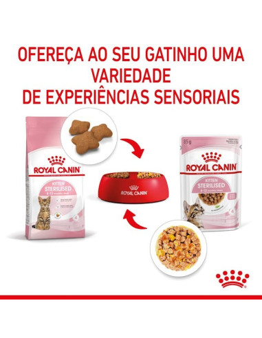 Royal Canin Kitten Sterilised (Jelly), Gatinhos, Húmidos, Alimento