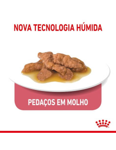 Royal Canin Gatos Sterilised (Gravy), Gatos, Húmidos, Adulto, Alimento 2
