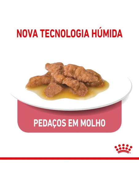 Royal Canin Gatos Sterilised (Gravy), Gatos, Húmidos, Adulto, Alimento