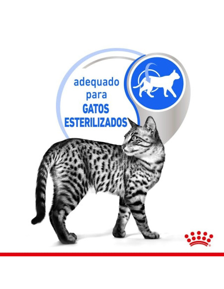 Royal Canin Gatos Sterilised (Gravy), Gatos, Húmidos, Adulto, Alimento