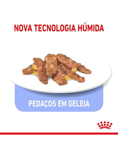 Royal Canin Gatos Sterilised (Gravy), Gatos, Húmidos, Adulto, Alimento 2