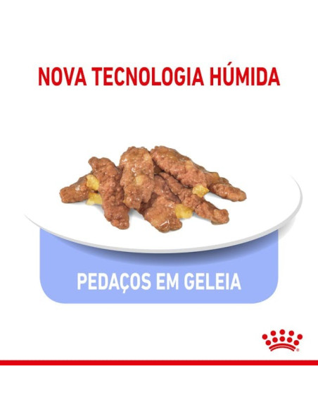 Royal Canin Gatos Sterilised (Gravy), Gatos, Húmidos, Adulto, Alimento