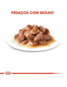 Royal Canin Gatos Sterilised (Gravy), Gatos, Húmidos, Adulto, Alimento 2