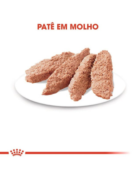 Royal Canin Sterilised (Loaf), Gatos, Húmidos, Adulto, Alimento