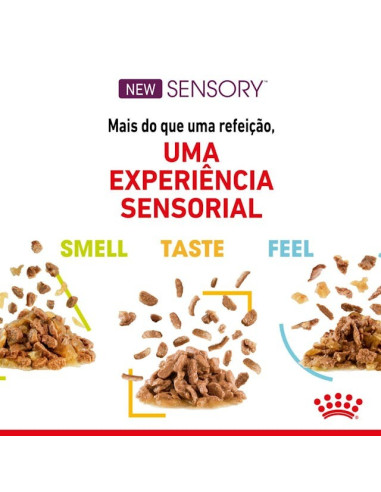 Royal Canin Gatos Ageing +12 Húmidos Saquetas 85g x 12uni.