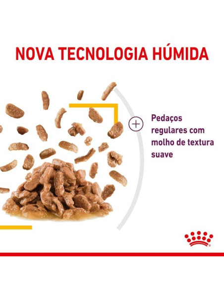 Royal Canin Gatos Ageing +12 Húmidos Saquetas 85g x 12uni.